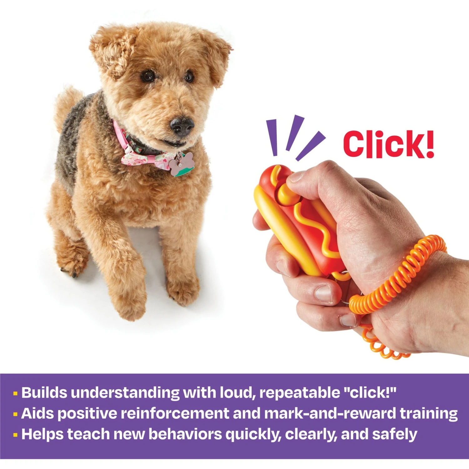 Brightkins Smarty Pooch Hot Dog Dog Training Clicker 2 Brightkins Smarty Pooch Hot Dog Dog Training Clicker - Image 2
