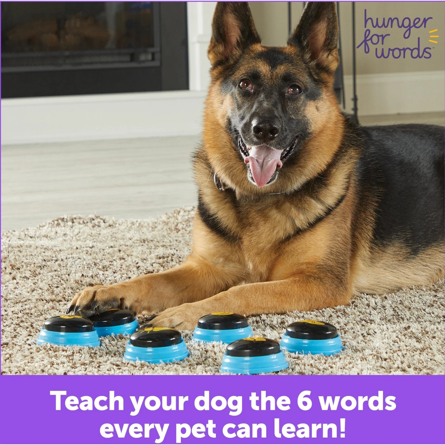 Hunger For Words Talking Pet Essential Words Dog Toy 5 Hunger For Words Talking Pet Essential Words Dog Toy - Image 5