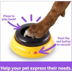 Hunger For Words Talking Pet Next Words: Names Dog Toy -Dog Supply Store 805566 PT4. AC SS1800 V1682450408