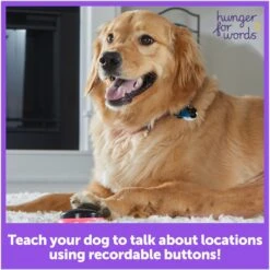 Hunger For Words Talking Pet Next Words: Locations Dog Toy -Dog Supply Store 805582 PT2. AC SS1800 V1679069469