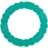 Li'l Pals Antimicrobial Ring Squeaky Dog Toy, Teal
