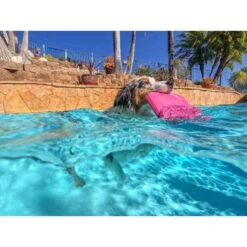 Project Hive Pet Company Hive Wild Berry Scented Disc & Lick Mat Dog Toy, Pink 13 Project Hive Pet Company Hive Wild Berry Scented Disc & Lick Mat Dog Toy, Pink -Dog Supply Store 805950 PT6. AC SS1800 V1683566323