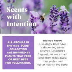 Project Hive Pet Company Hive Calming Lavender Scented Fetch Stick Dog Toy, Purple -Dog Supply Store 805982 PT2. AC SS1800 V1683567238