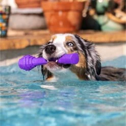 Project Hive Pet Company Hive Calming Lavender Scented Fetch Stick Dog Toy, Purple -Dog Supply Store 805982 PT3. AC SS1800 V1683565863