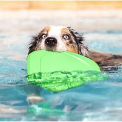 Project Hive Pet Company Hive Tropical Coconut Scented Disc & Lick Mat Dog Toy, Green 9 Project Hive Pet Company Hive Tropical Coconut Scented Disc & Lick Mat Dog Toy, Green -Dog Supply Store 806142 PT4. AC SS1800 V1683565308