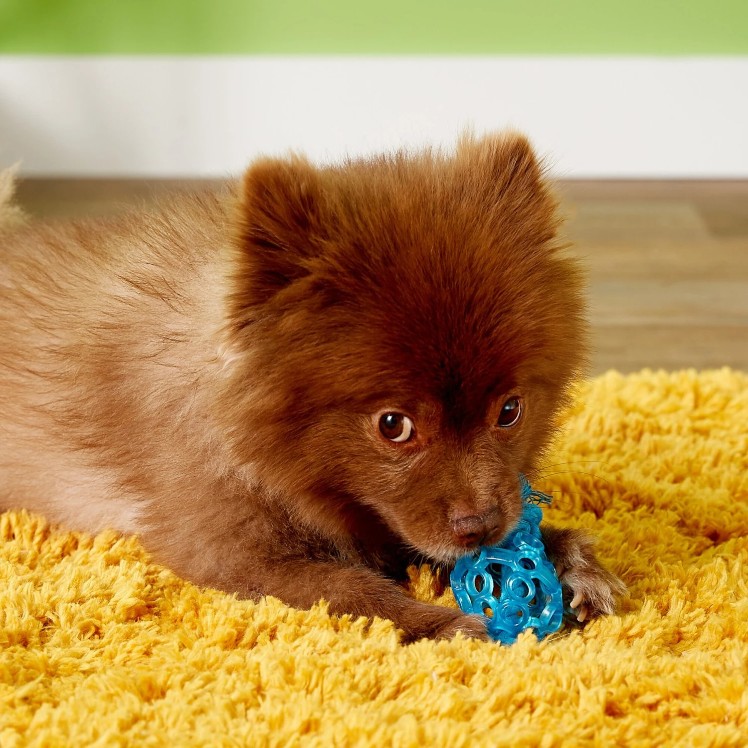 JW Pet Play Place Lattice Dog Ball, Color Varies 2 JW Pet Play Place Lattice Dog Ball, Color Varies - Image 2