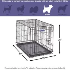MidWest ICrate Fold & Carry Single Door Collapsible Wire Dog Crate & MidWest Steel Pet Gate -Dog Supply Store 815134 PT3. AC SS1800 V1679502133