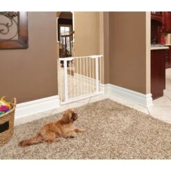 MidWest ICrate Fold & Carry Single Door Collapsible Wire Dog Crate & MidWest Steel Pet Gate -Dog Supply Store 815134 PT6. AC SS1800 V1679500871