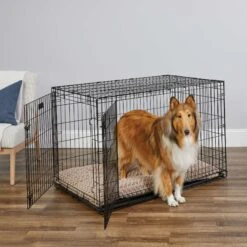 MidWest ICrate Fold & Carry Double Door Collapsible Wire Dog Crate & MidWest Steel Pet Gate -Dog Supply Store 815238 PT2. AC SS1800 V1679500811