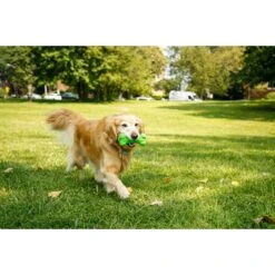 Hartz Dura Play Bone Squeaky Latex Dog Toy 12 Hartz Dura Play Bone Squeaky Latex Dog Toy -Dog Supply Store 82721 PT3. AC SS1800 V1660706813