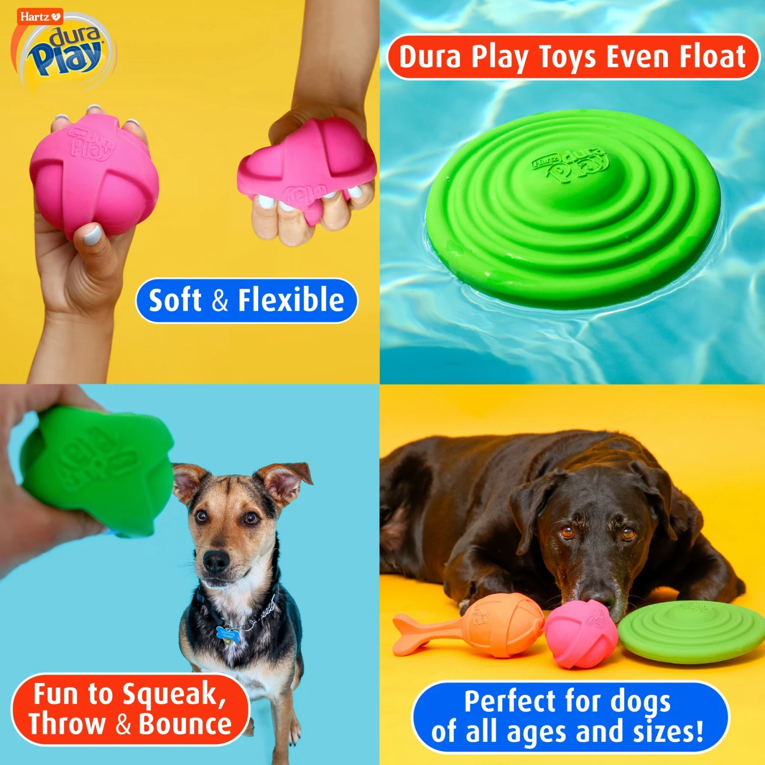 Hartz Dura Play Bone Squeaky Latex Dog Toy 6 Hartz Dura Play Bone Squeaky Latex Dog Toy - Image 6