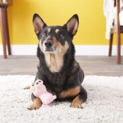 Hartz Bug Eyes Squeak Latex Dog Toy, Character Varies -Dog Supply Store 82848 PT4. AC SS1800 V1589228913