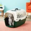 Petmate Ruff Maxx Dog & Cat Kennel, Off White/Green