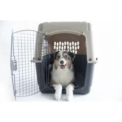 Petmate Ultra Vari Dog & Cat Kennel, Taupe/Black 9 Petmate Ultra Vari Dog & Cat Kennel, Taupe/Black -Dog Supply Store 83947 PT3. AC SS1800 V1569016066