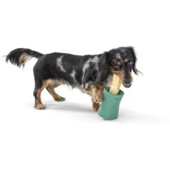 West Paw Funnl Dog Toy, Large, 4.25-in -Dog Supply Store 847974 PT2. AC SS1800 V1683904957