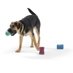 West Paw Funnl Dog Toy, Large, 4.25-in -Dog Supply Store 847974 PT6. AC SS1800 V1683905951