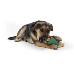 West Paw Funnl Dog Toy, Large, 4.25-in -Dog Supply Store 847974 PT7. AC SS1800 V1683904309