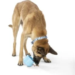 West Paw Toppl Dog Toy, X-Large, 4.75-in -Dog Supply Store 848006 PT5. AC SS1800 V1683905445