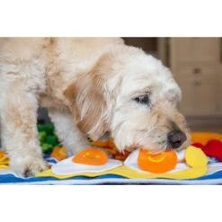 Injoya Breakfast Cat & Dog Snuffle Mat, Blue, Large -Dog Supply Store 848038 PT2. AC SS1800 V1683732043