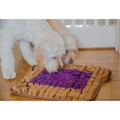 Injoya PB & J Cat & Dog Snuffle Mat, Brown, Medium -Dog Supply Store 848102 PT2. AC SS1800 V1684421062