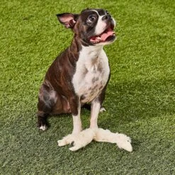 Ethical Pet Skinneeez Crinklers Lamb Stuffing-Free Squeaky Plush Dog Toy -Dog Supply Store 85045 PT7. AC SS1800 V1527093302