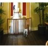 Richell Premium Plus Freestanding Dog Gate