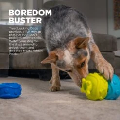 Outward Hound Treat Locking Discs Dispenser Puzzle Dog Toy, Multiple Colors -Dog Supply Store 855558 PT2. AC SS1800 V1686333064