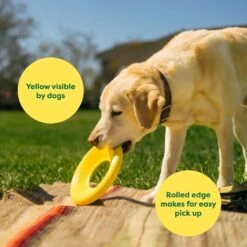 Earth Rated Flyer Dog Toy -Dog Supply Store 856190 PT3. AC SS1800 V1701983280
