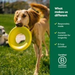 Earth Rated Flyer Dog Toy -Dog Supply Store 856190 PT6. AC SS1800 V1701983219