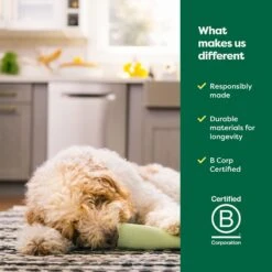 Earth Rated Rubber Chew Dog Toy 16 Earth Rated Rubber Chew Dog Toy -Dog Supply Store 856238 PT7. AC SS1800 V1701932873