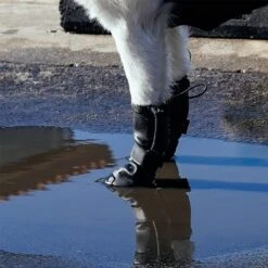 Canada Pooch Waterproof Dog Rain Boots, Black -Dog Supply Store 857414 PT4. AC SS1800 V1685724149