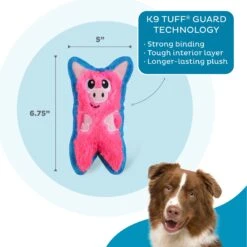 Outward Hound Invincibles Minis Squeaky Stuffing-Free Plush Dog Toy -Dog Supply Store 85905 PT2. AC SS1800 V1636512377