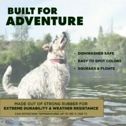 Hound2O Squeaky Football Dog Toy -Dog Supply Store 863590 PT4. AC SS1800 V1687284398