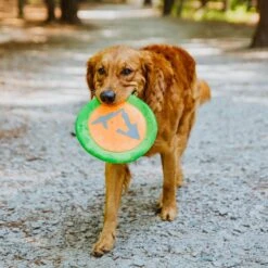 Hound2O Reflective Flyer Dog Toy -Dog Supply Store 863726 PT2. AC SS1800 V1687284093