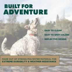 Hound2O Reflective Flyer Dog Toy -Dog Supply Store 863726 PT4. AC SS1800 V1687286170