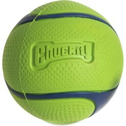 Chuckit! Sniff Fetch Ball Dog Toy, Medium -Dog Supply Store 872198 PT2. AC SS1800 V1687799975