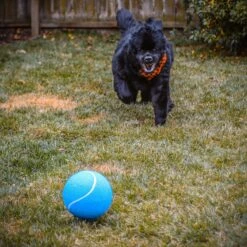 Pet Fit For Life Giant Tennis Ball Dog Toy, Yellow -Dog Supply Store 872422 PT4. AC SS1800 V1686247988