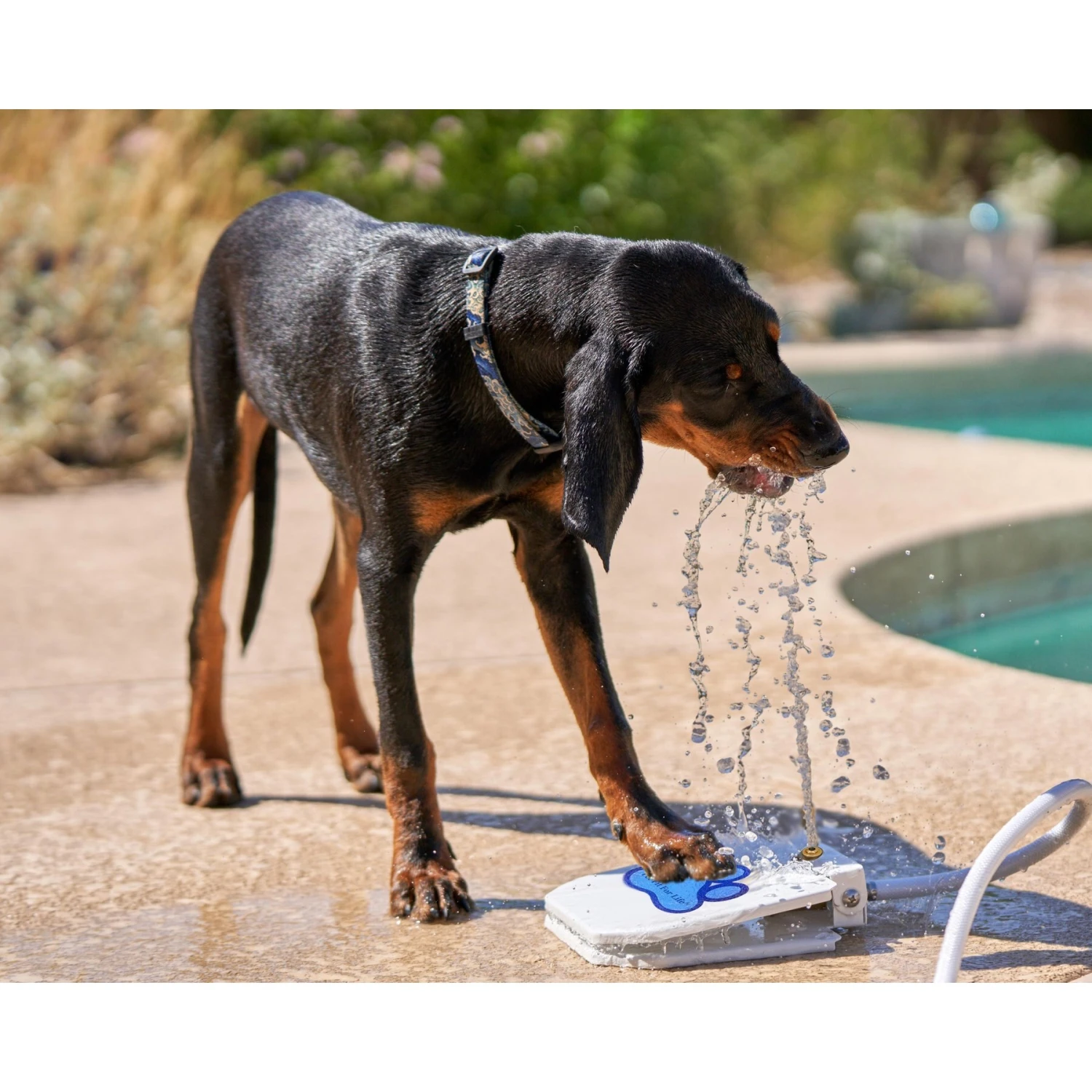 Pet Fit For Life Dog Step-on Sprinkler Dog Toy, Silver 2 Pet Fit For Life Dog Step-on Sprinkler Dog Toy, Silver - Image 2