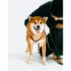 RIFRUF Caesar 1 Dog Boot -Dog Supply Store 884238 PT4. AC SS1800 V1699456308