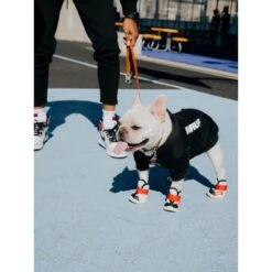 RIFRUF Caesar 1S Dog Boot, Borough -Dog Supply Store 884342 PT2. AC SS1800 V1699652963