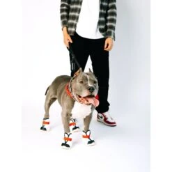 RIFRUF Caesar 1S Dog Boot, Borough -Dog Supply Store 884342 PT3. AC SS1800 V1699652969