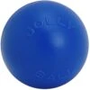 Jolly Pets 14" Push-n-Play Dog Toy