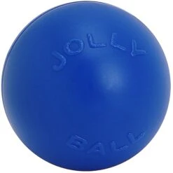 Jolly Pets 14" Push-n-Play Dog Toy