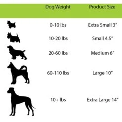 Jolly Pets 14" Push-n-Play Dog Toy -Dog Supply Store 88439 PT2. AC SS1800 V1629245209