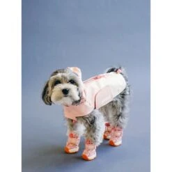 RIFRUF Apollo 1 Dog Boot 11 RIFRUF Apollo 1 Dog Boot -Dog Supply Store 884742 PT4. AC SS1800 V1699460504