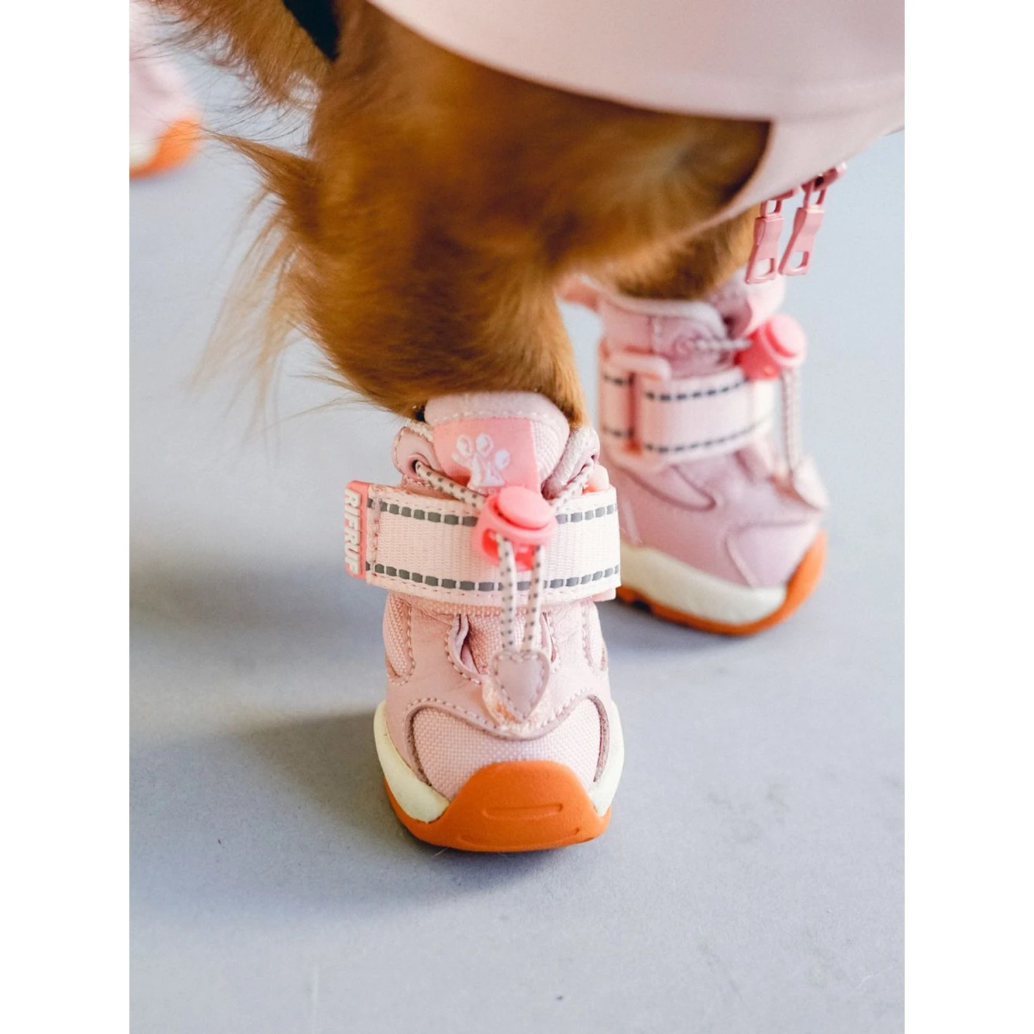 RIFRUF Apollo 1 Dog Boot 6 RIFRUF Apollo 1 Dog Boot - Image 6