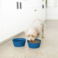 Waggo Habit Non-Skid Silicone Cat & Dog Bowl, Medium -Dog Supply Store 889254 PT2. AC SS1800 V1697132261