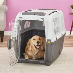 MidWest Skudo Deluxe Plastic Dog & Cat Kennel
