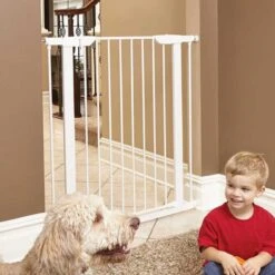 MidWest Steel Pet Gate -Dog Supply Store 89408 PT4. AC SS1800 V1679000407