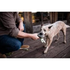 P.L.A.Y. Pet Lifestyle And You Howling Haunts Ghoulishgrave Plush Squeaky Dog Toy -Dog Supply Store 896982 PT5. AC SS1800 V1689800296